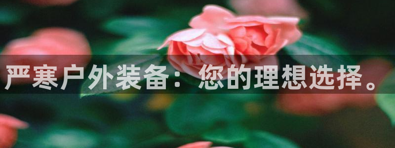 富邦娱乐登录探索无限空间