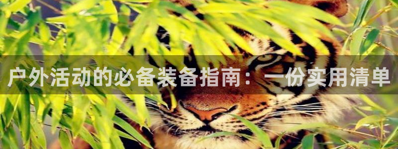 富邦娱乐平台-上全狐网