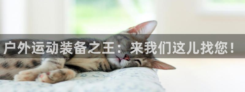 富邦娱乐官网