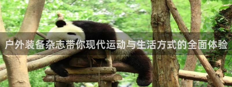 富邦网上娱乐