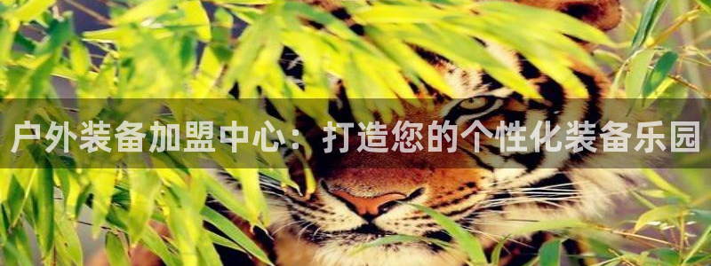富邦娱乐 上鼎狐网