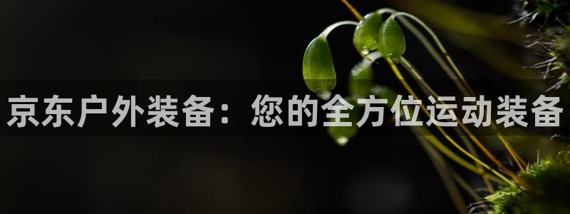 富邦娱乐平台最新公告