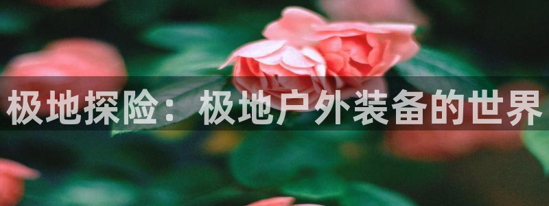 富邦翡翠娱乐怎么样