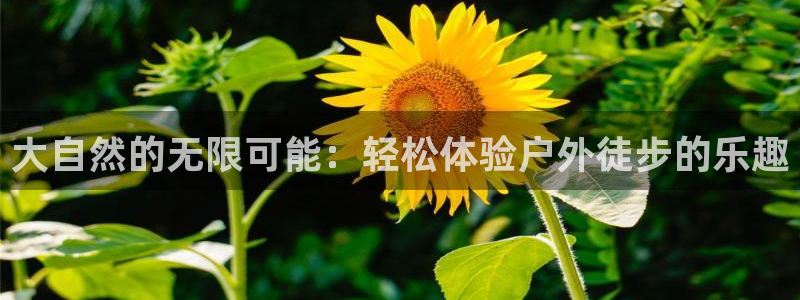 富邦娱乐场手机下载