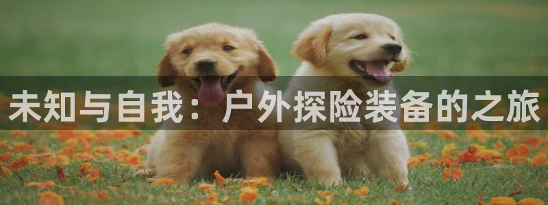 富邦娱乐会员账号大全