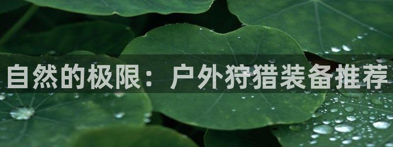 富邦娱乐 果敢锦海