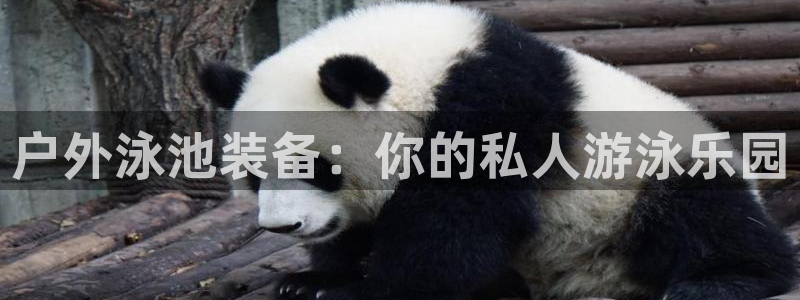 富邦娱乐项目