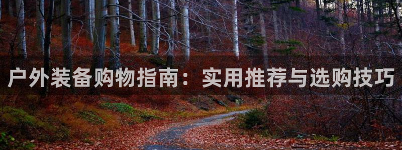 富邦美业势不可挡娱乐