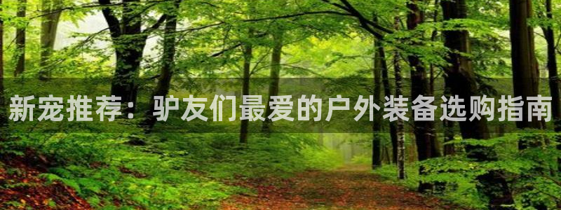 富邦娱乐城打牌