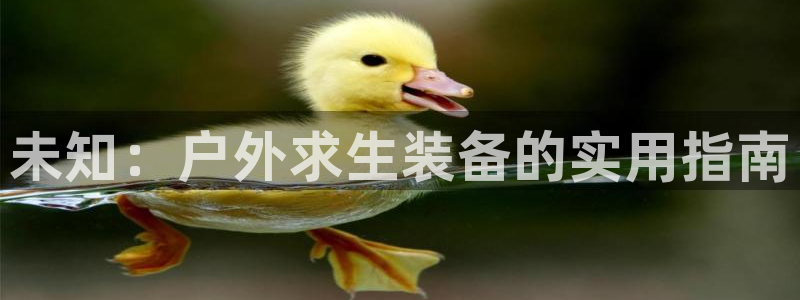 富邦娱乐网址是多少