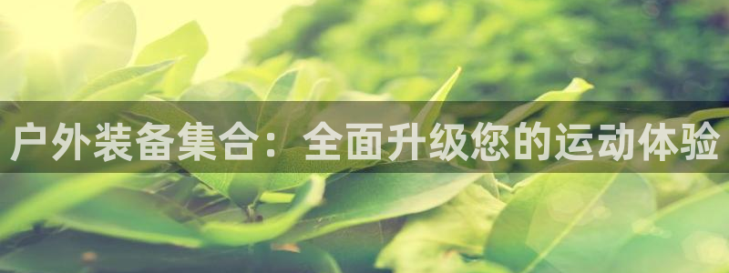 富邦娱乐城打牌