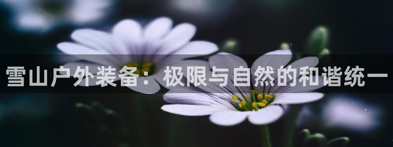 富邦广场北仑娱乐