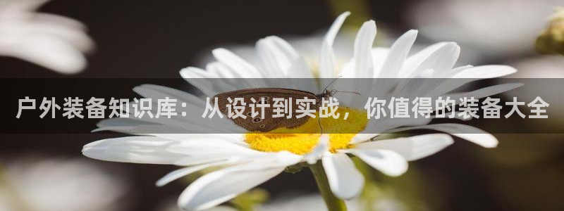 富邦现场娱乐