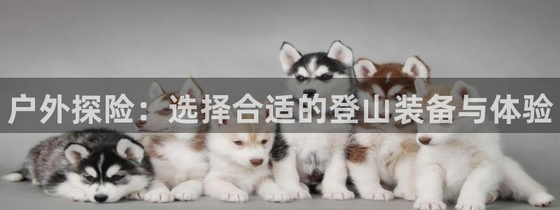 富邦娱乐官网-上全狐网
