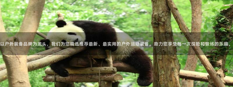 富邦娱乐
