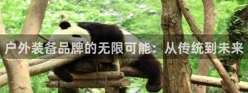 富邦美业势不可挡娱乐