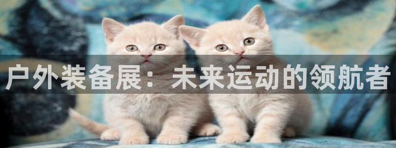 壹家娱乐北仑区富邦