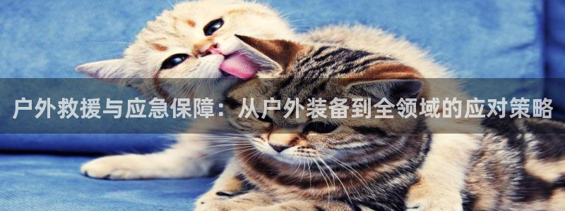 富邦娱乐 全礴网