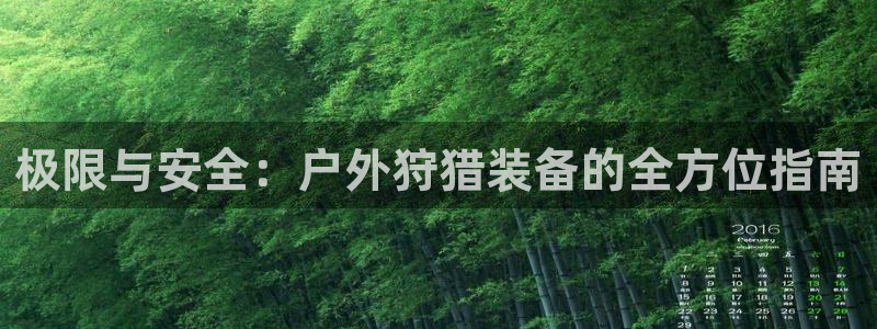 富邦娱乐 果敢锦海