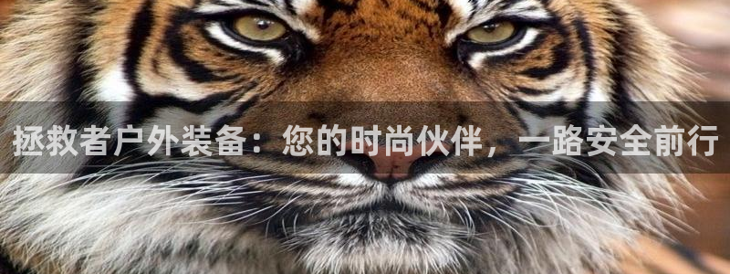 富邦娱乐app官方下载