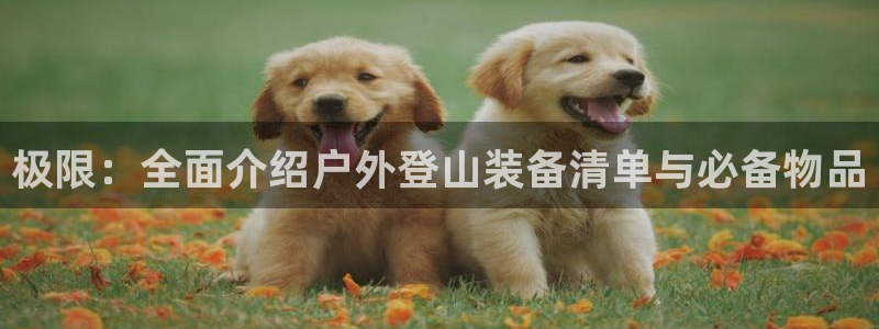 富邦娱乐平台-皇恩靠谱