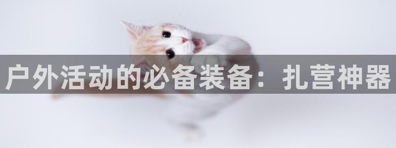 富邦娱乐登入 全礴网