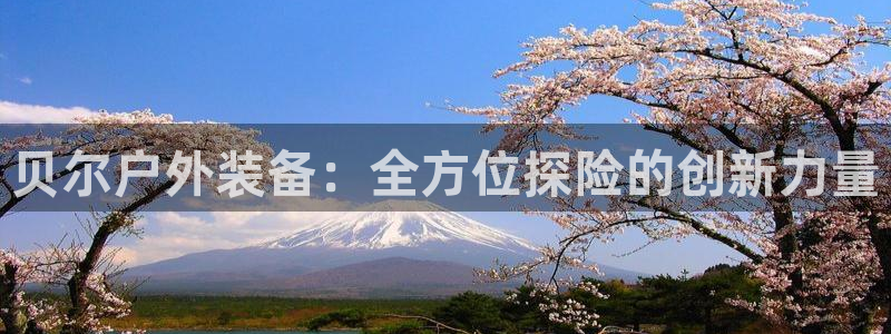 富邦娱乐 果敢锦海