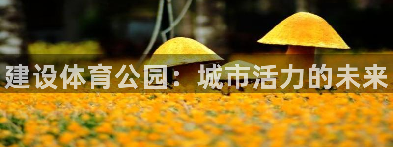 探球体育直播：建设体育公园：城市活力的未来