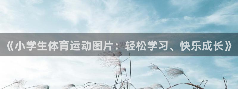 探球体育app官网下载：《小学生体育运动图片：轻松学习、快乐成长》