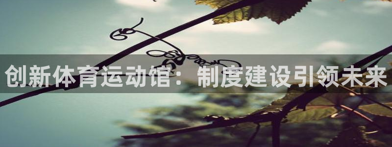 探球体育比分即时比分：创新体育运动馆：制度建设引领未来