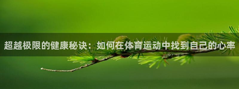 探球体育比分：超越极限的健康秘诀：如何在体育运动中找到自己的心率