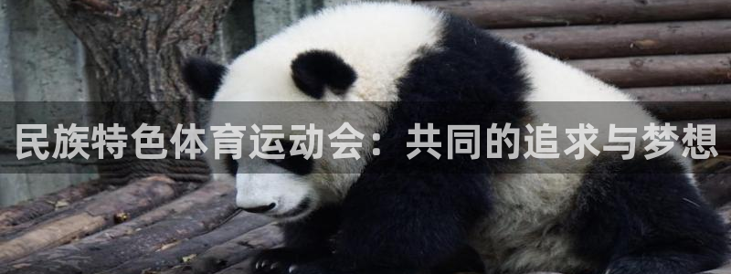 探球体育官网：民族特色体育运动会：共同的追求与梦想