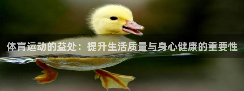 探球体育比分即时比分：体育运动的益处：提升生活质量与身心健康的重要性
