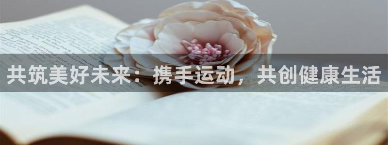 探球体育比分：共筑美好未来：携手运动，共创健康生活