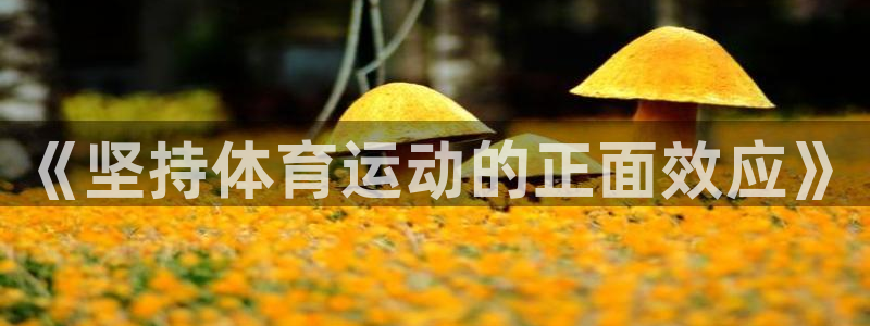 探球体育app：《坚持体育运动的正面效应》