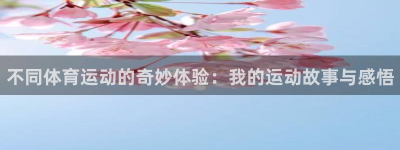 探球体育足球即时比分：不同体育运动的奇妙体验：我的运动故事与感悟